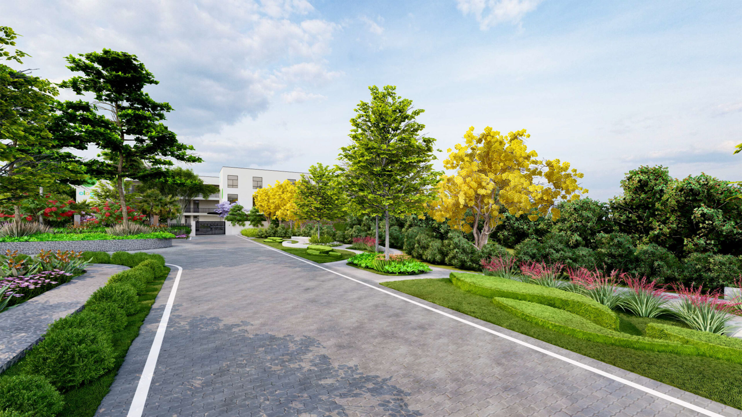 Ology_Girls_IMG 03@2x